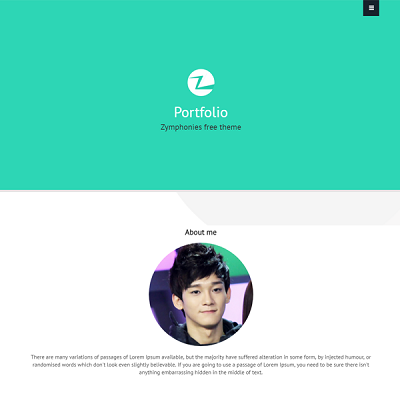 Portfolio Zymphonies Theme