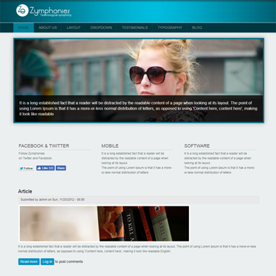 Professional Responsive Theme